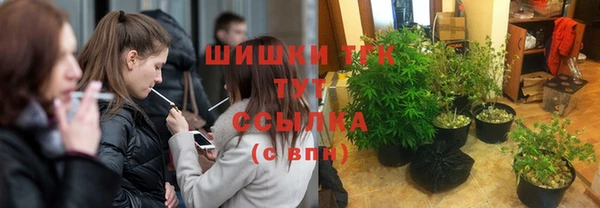 прущие грибы Алексин