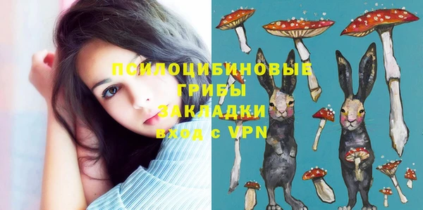 прущие грибы Алексин