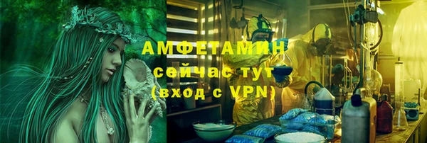 прущие грибы Алексин