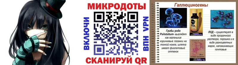 Купить  Ставрополь  Псилоцибиновые грибы Psilocybe 